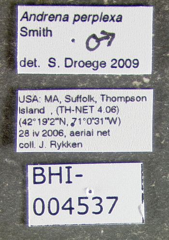 Media type: image;   Entomology 609582 Aspect: labels